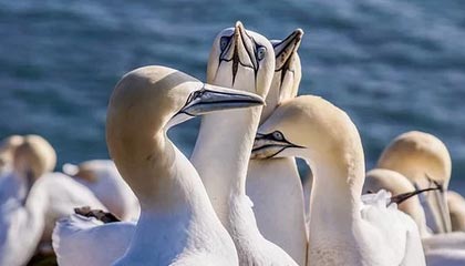 开云体育官网-“欧联杯先生” 埃梅里5进决赛4夺冠 并不止于此！